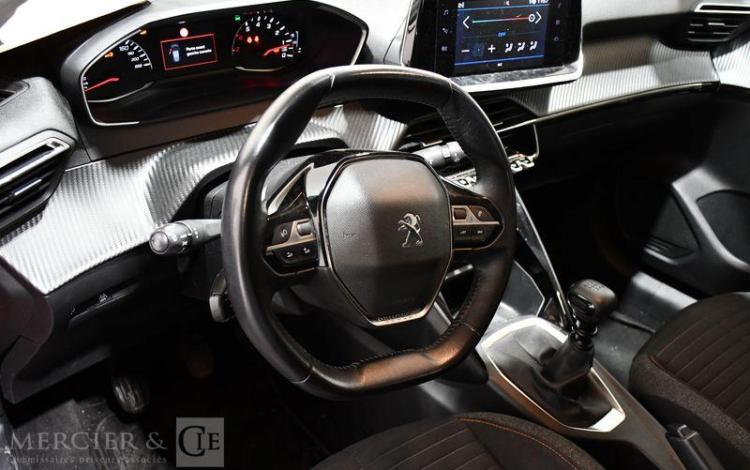 PEUGEOT 208 1,5 BLUE HDI100 ACTIVE ROUGE FN-222-GK