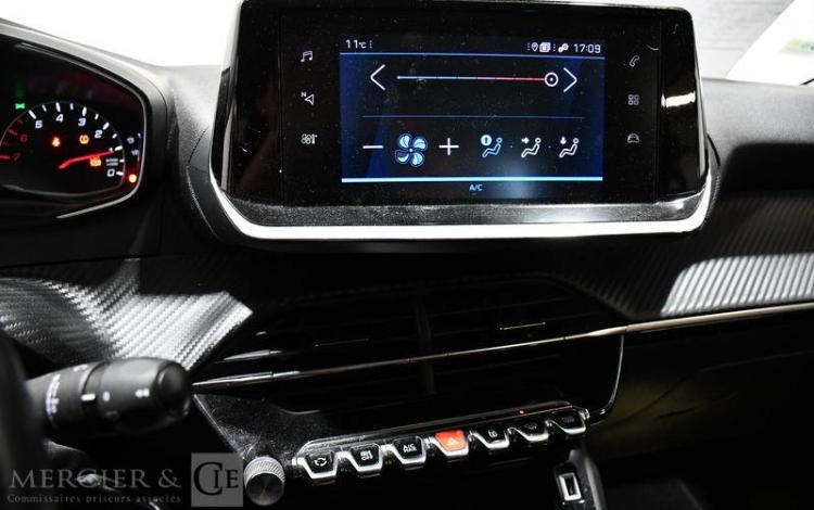 PEUGEOT 208 ACTIVE BUSINESS PURE TECH ROUGE FV-972-XH