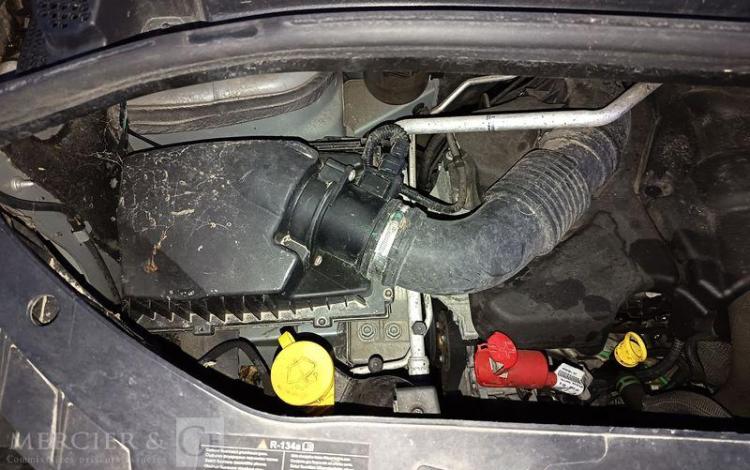 RENAULT MASTER BLEU FW-493-FB