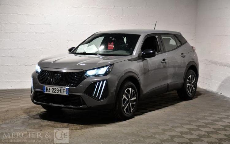 PEUGEOT 2008 GRIS HA-229-EF