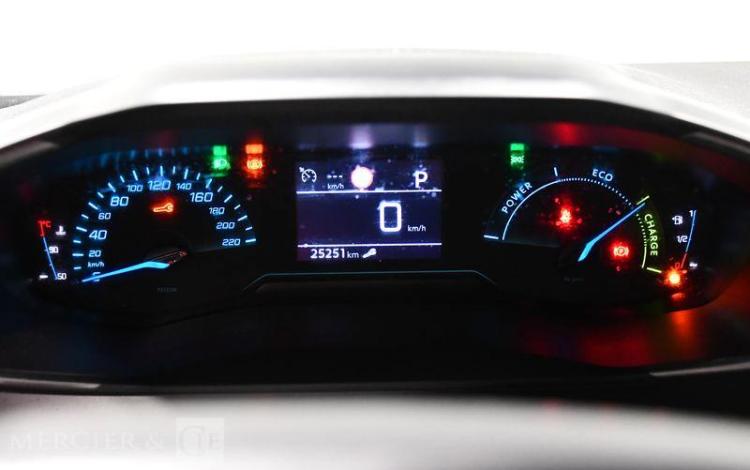 PEUGEOT 2008 GRIS HA-229-EF