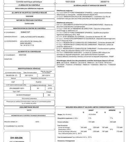 FIAT PUNTO GNV  DM-805-DN