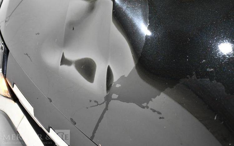 RENAULT CAPTUR BUSINESS BLUE DCI 115 NOIR GA-518-PX