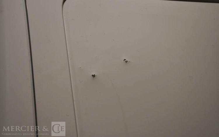 PEUGEOT EXPERT M BLUEHDI BLANC GS-452-WC