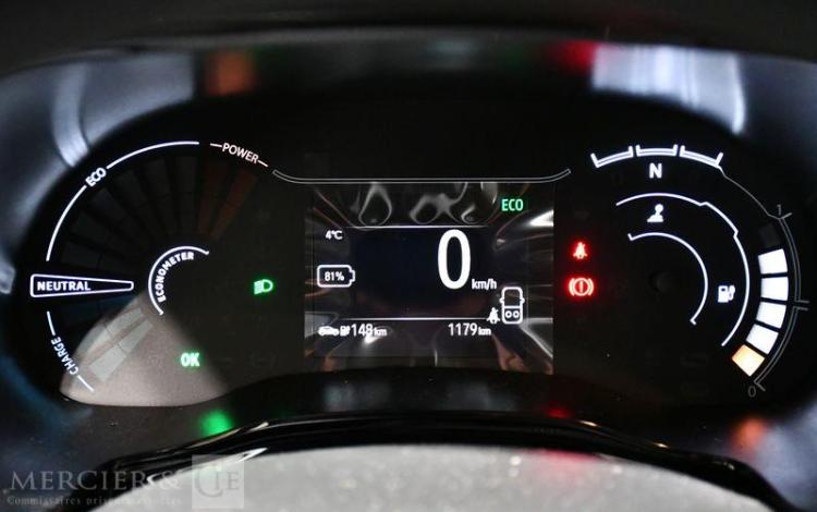 DACIA SPRING EXTREME GRIS GV-228-EQ