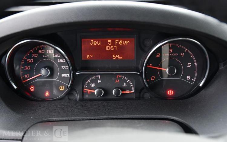 PILOTE CAMPING CAR PROFILE P696D EVIDENCE 2.2 HDI 140ch BLANC 93702