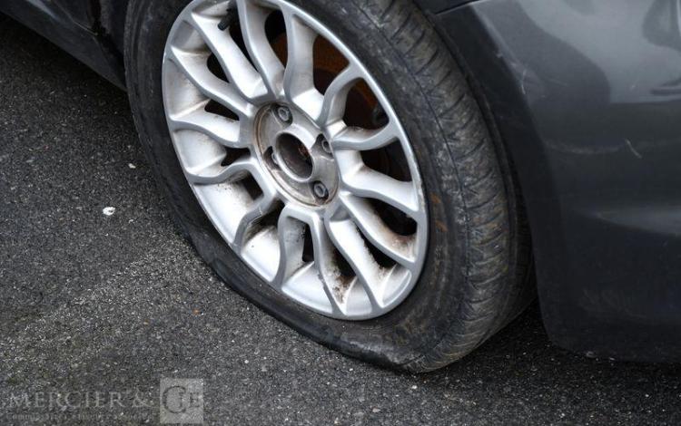 FIAT 500 GRIS FW-991-PV