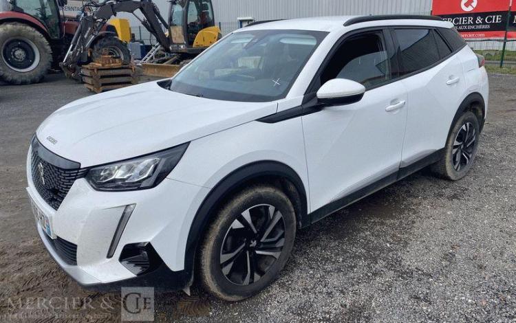 PEUGEOT 2008 110CH ALLURE BUSINESS BLANC GD-966-HZ