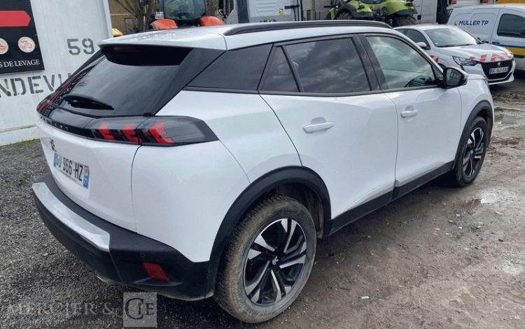 PEUGEOT 2008 110CH ALLURE BUSINESS BLANC GD-966-HZ