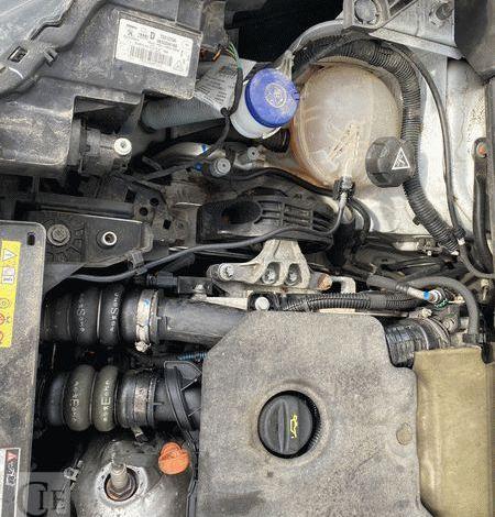 PEUGEOT 2008 110CH ALLURE BUSINESS BLANC GD-966-HZ