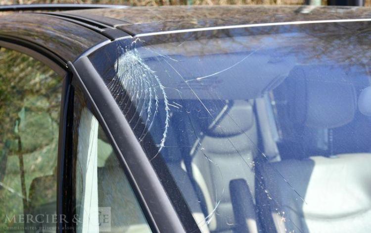 RENAULT ESPACE 3.0 DCI 165CH INITIALE BVA GRIS BA-720-AX