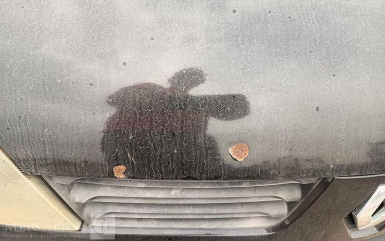 RENAULT CLIO II SOCIETE PHASE 2 1.5 dCi 68 CV – DIESEL –  BX-462-LK