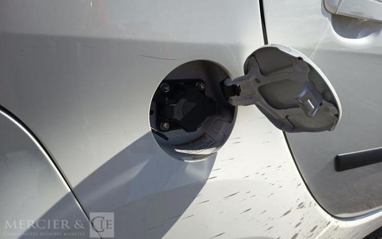 PEUGEOT ION ACTIVE  DT-079-SH