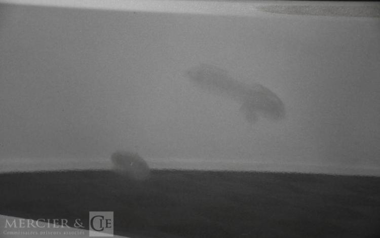 LAND ROVER RANGE ROVER SPORT 2.0 SD4 240CH HSE 4WD BVA GRIS ER-217-JQ