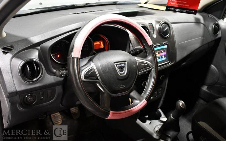 DACIA SANDERO STEPWAY BLUE DCI 95 GRIS FJ-336-DY