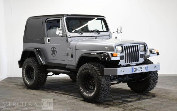 JEEP WRANGLER 4,0 180 AWD GRIS GN-075-TY