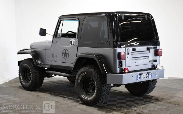 JEEP WRANGLER 4,0 180 AWD GRIS GN-075-TY