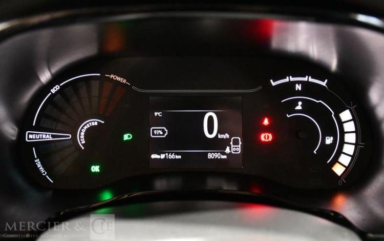 DACIA SPRING EXTREME GRIS GR-011-SH