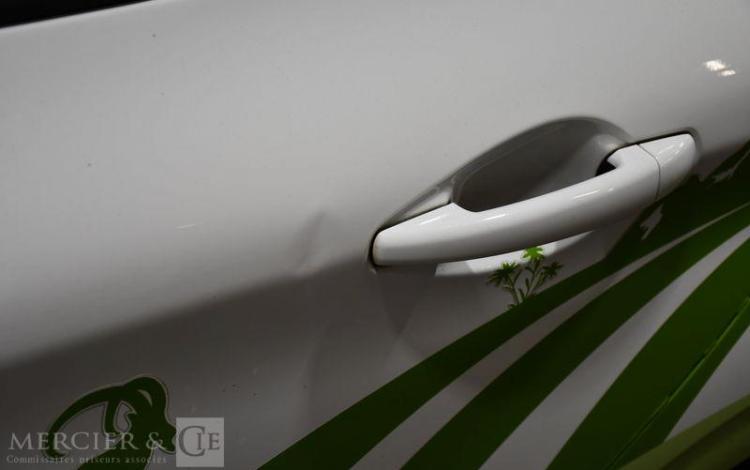 PEUGEOT 208 SOCIETE 1.6 BLUEHDI 100 PREMIUM BLANC GW-343-LZ