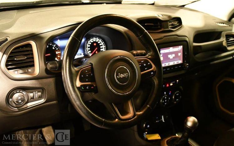 JEEP RENEGADE 2,0 MULTIJET 140 75e ANNIVERSAIRE AWD S&S GRIS EG-735-PY