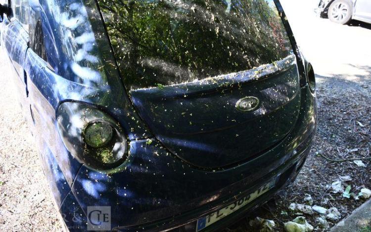 MICROCAR DUE D BLEU FL-384-VZ