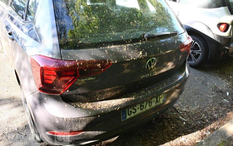 VOLKSWAGEN POLO 1,0 TSI 95 DSG7 LIFE GRIS GS-676-XP