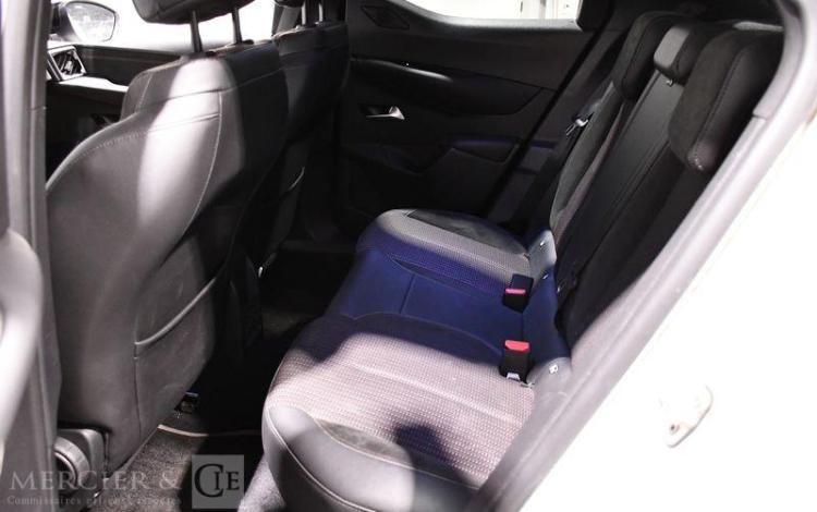 DS DS3 BLANC GT-772-WM