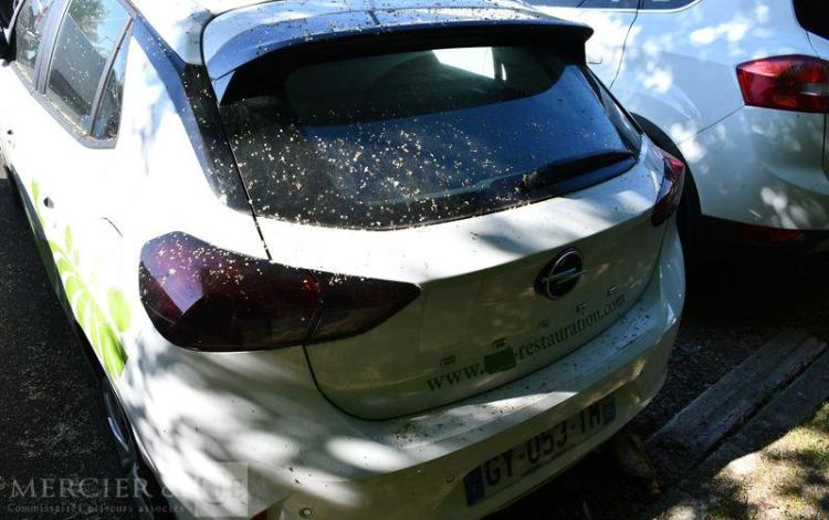 OPEL CORSA BLANC GY-053-TM