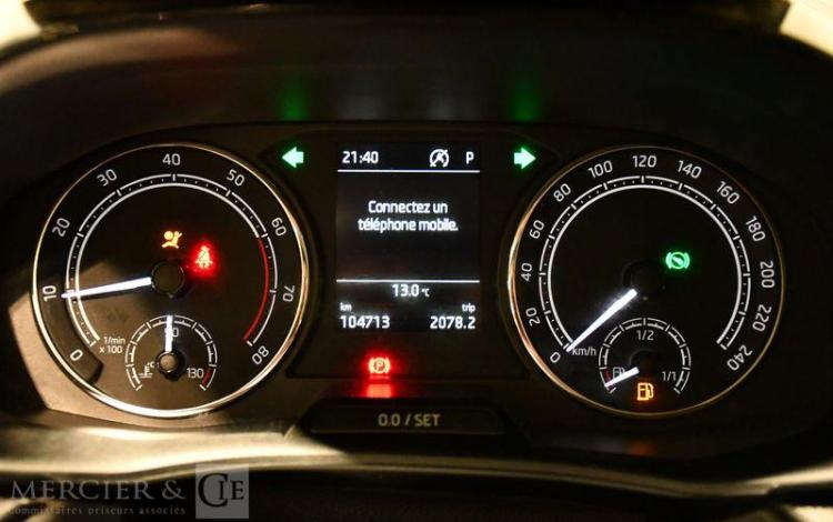 SKODA FABIA 1.0 TSI 110ch AMBITION DSG GRIS GH-467-LQ