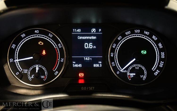 SKODA FABIA 1.0 TSI 110ch AMBITION DSG BLEU GL-262-RF